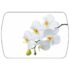 Стол обеденный раздвижной Танго – Белый/Орхидея